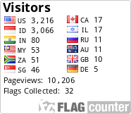 Flag Counter