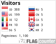 Flag Counter